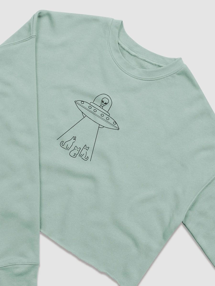 Beam Meows UFO Crop Sweatshirt product image (9)