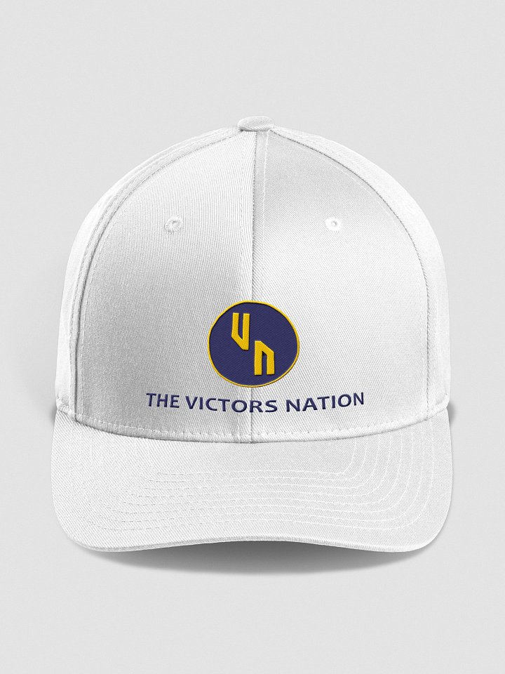 VN Logo Fitted Hat product image (1)