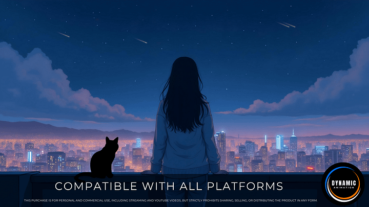 Animated Background | Rooftop Girl Under City Sky with Shooting Stars | Lofi Vibes | Perfect for Twitch & Live Wallpapers | AB272 product image (2)