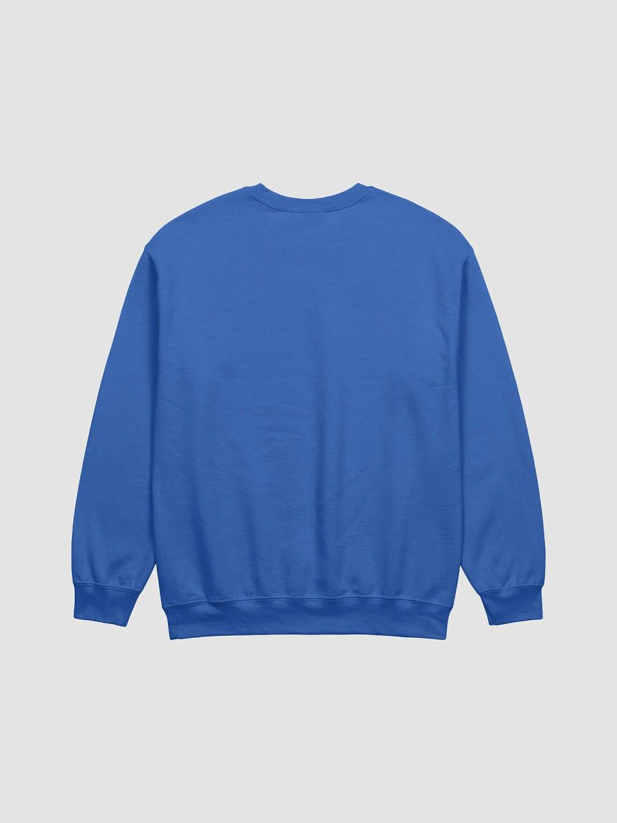'No Filter' Unisex Sweatshirt product image (3)