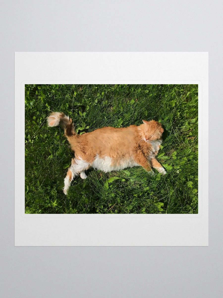 Sun Bathing Boy Sticker product image (1)
