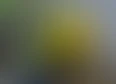 Garden's tag thumbnail