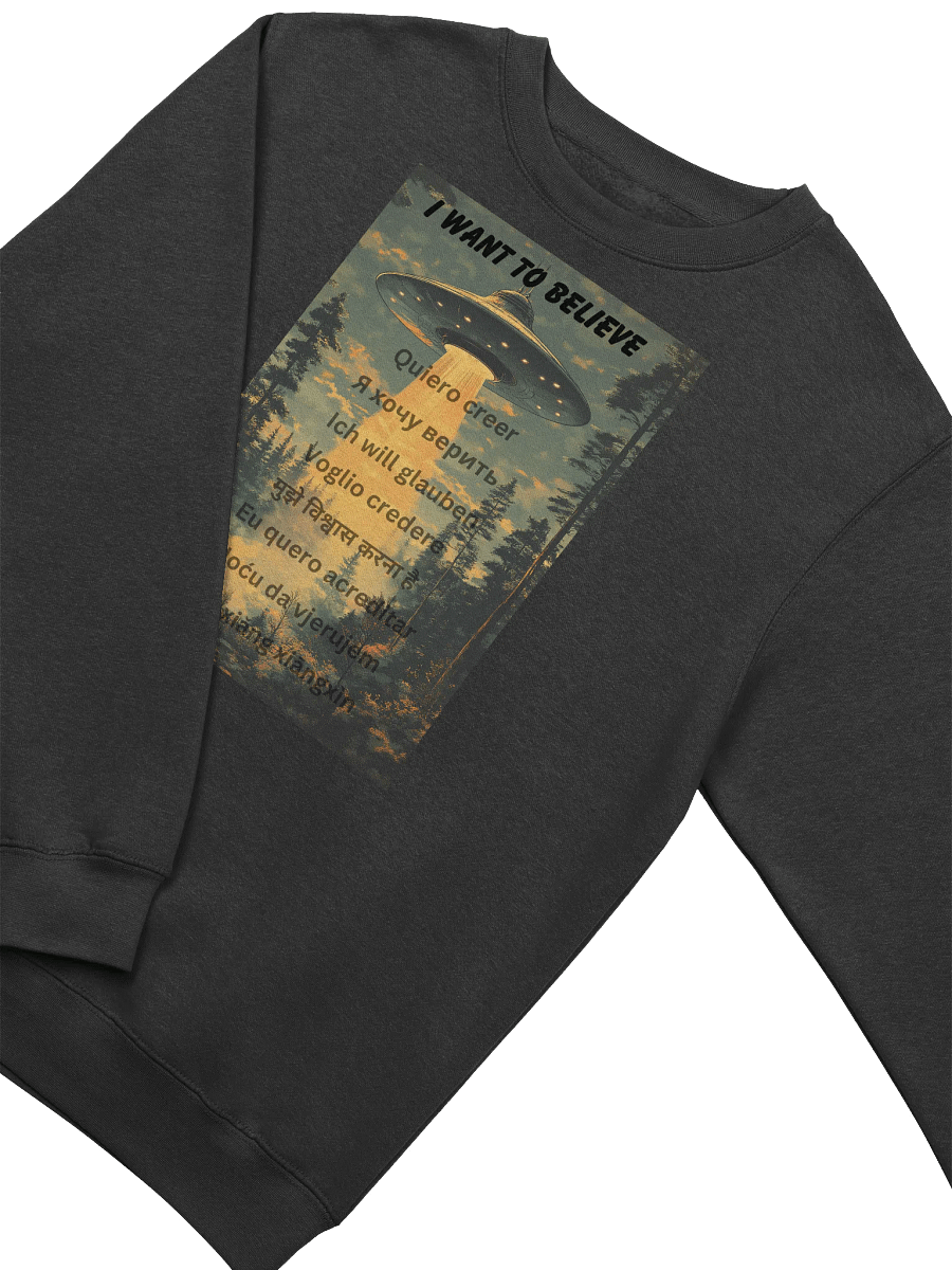 UFO Sweatshirt "I Want To Believe" Multiple languages product image (3)