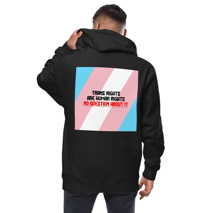 Trans Rights Embroidered Hoodie product image (1)