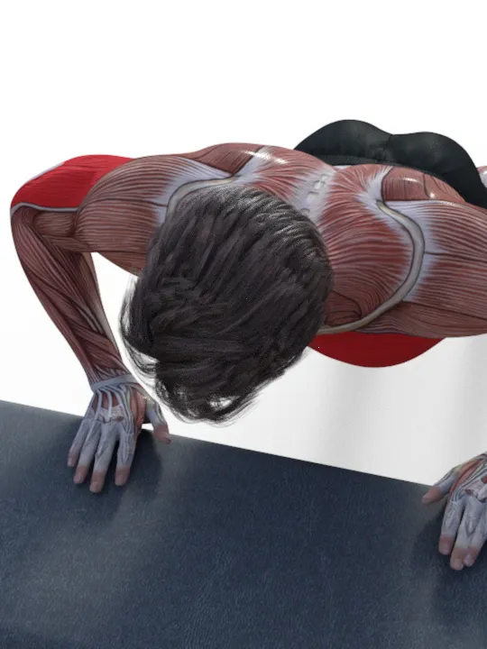 Incline Push-Ups product image (1)