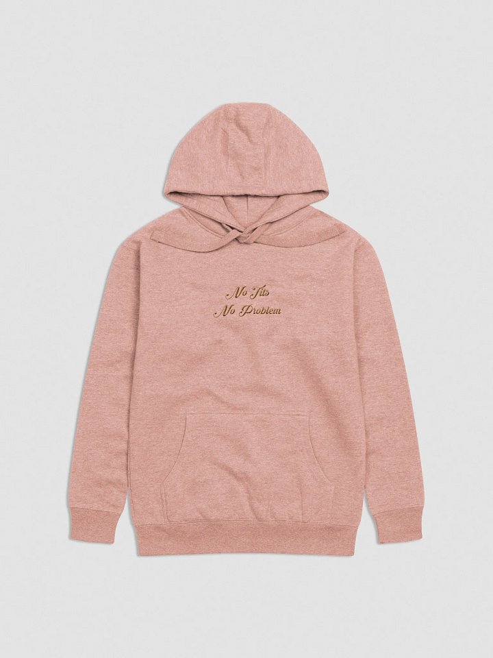 No Tits No Problem Hoodie (Gold Embroidery) product image (1)
