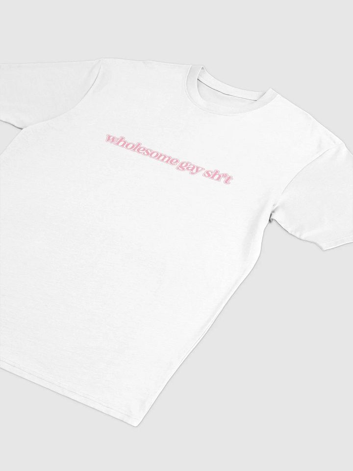 Wholesome Gay T product image (2)
