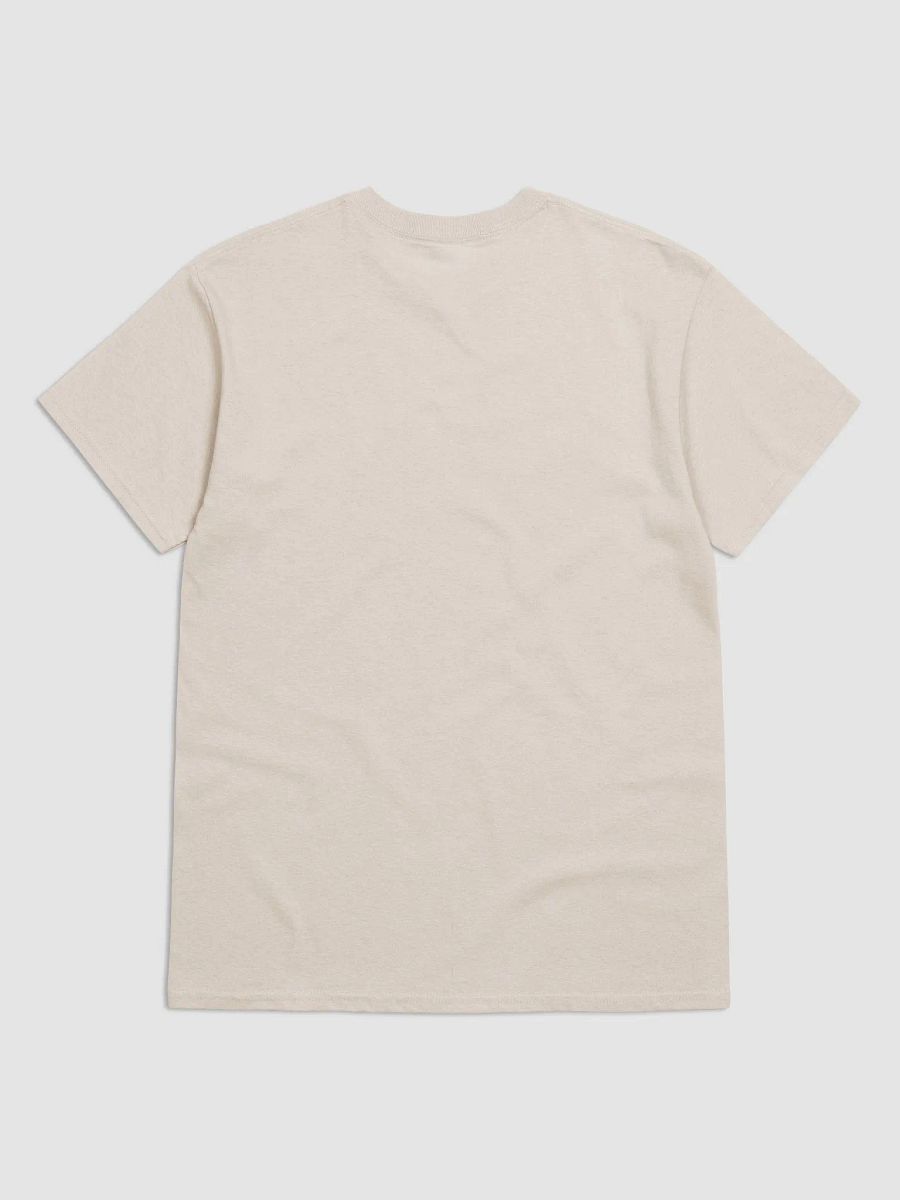 Perfect Moment Vibes T-Shirt product image (27)