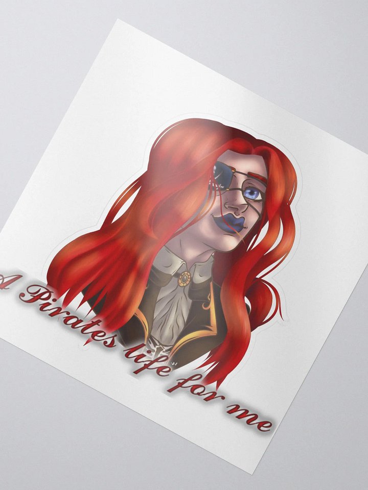 A pirates life for me product image (2)