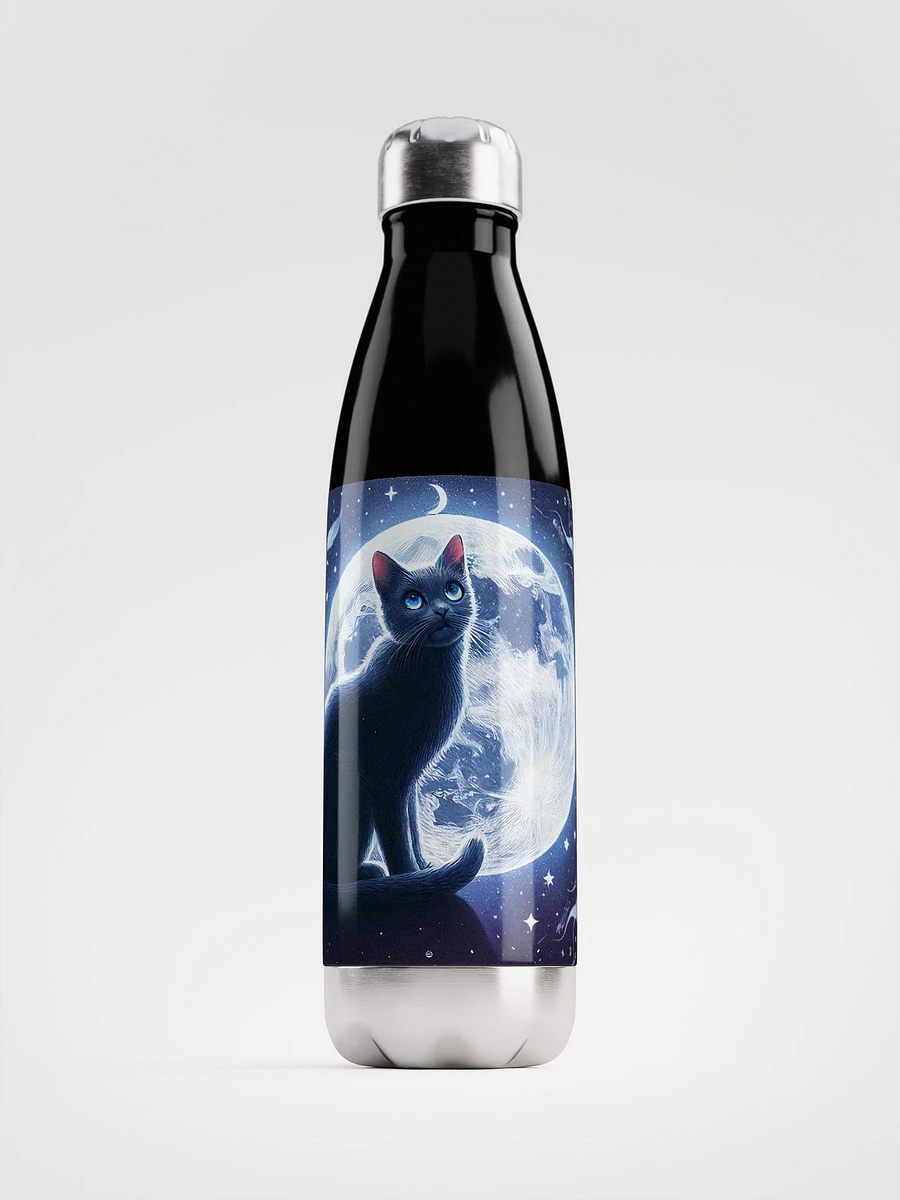 Stainless Steel Water Bottle product image (2)