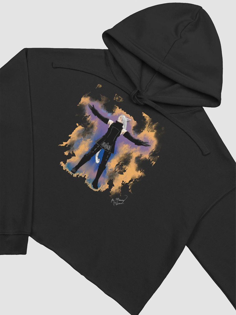 Welcome to Paradox Crop-Hoodie product image (3)