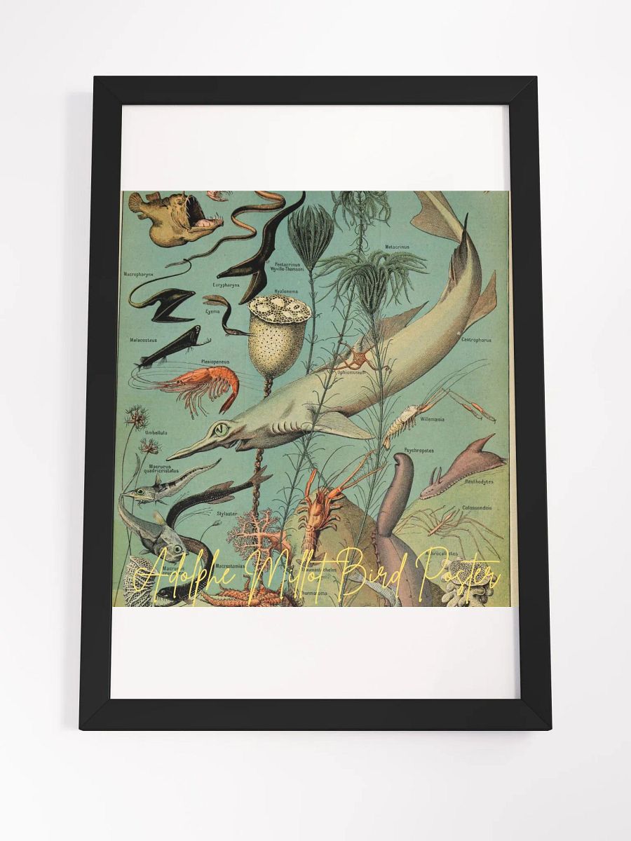 Art by Adolphe Millot Framed High-Quality Matte Poster (in) product image (4)