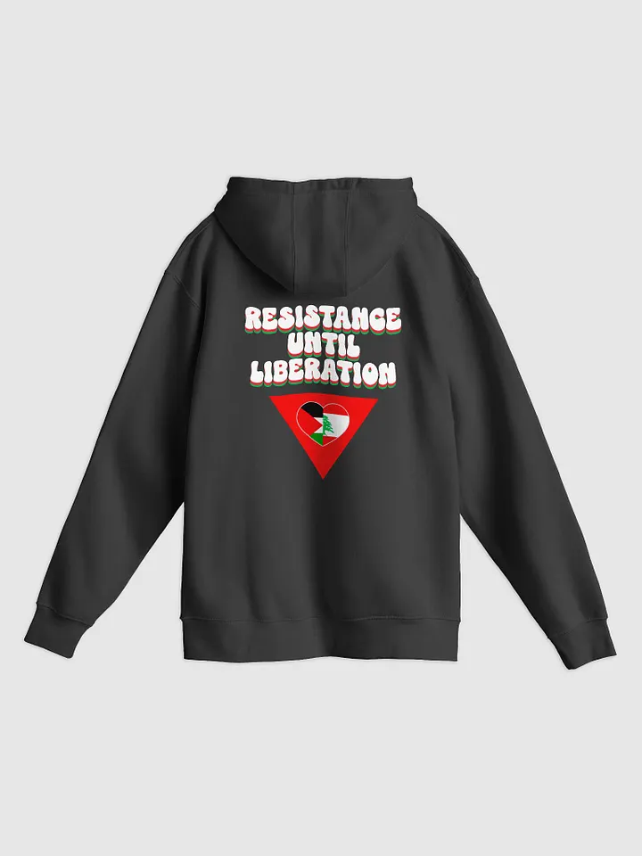 Resist Hoodie product image (2)