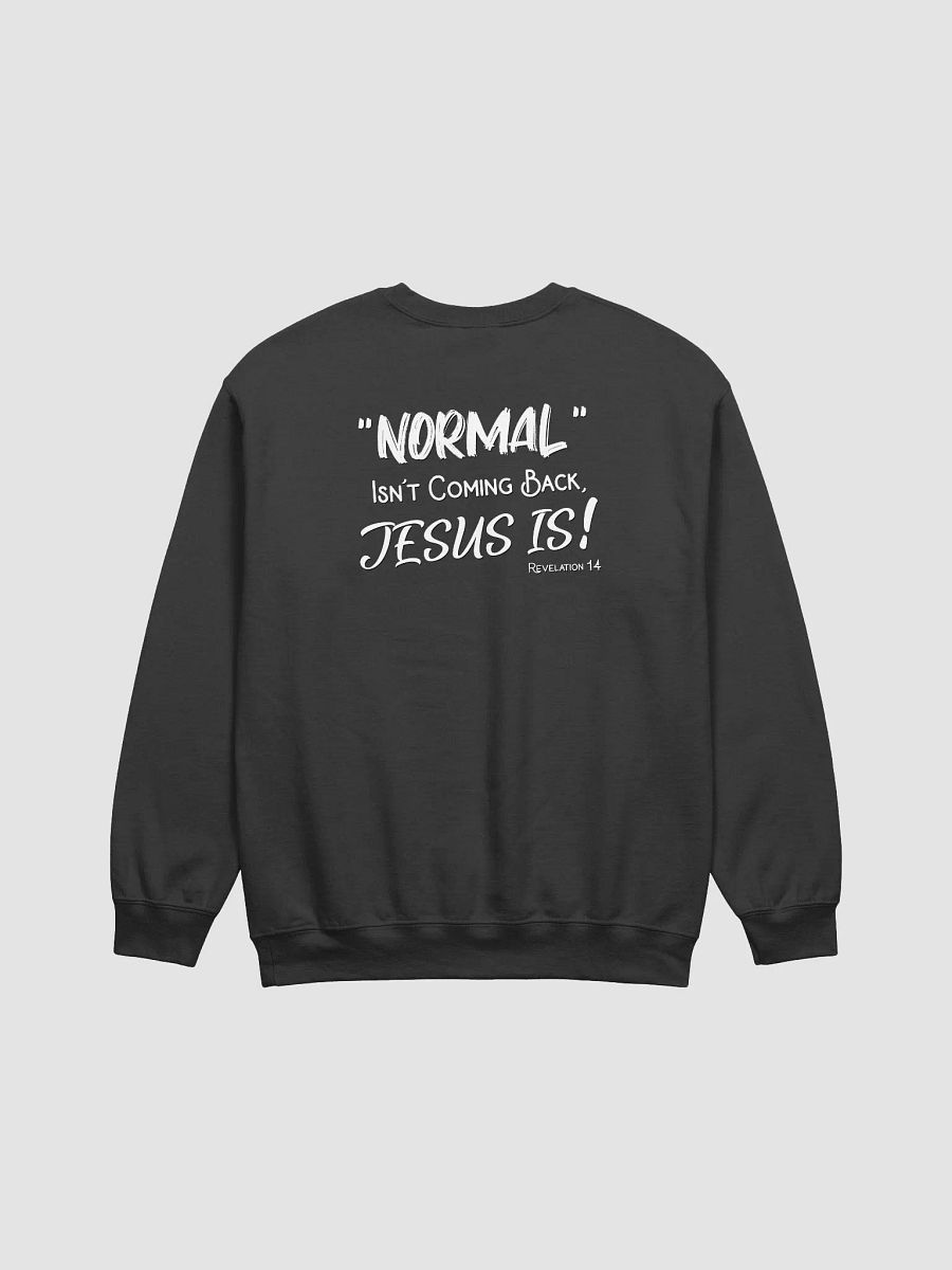 Revelation 14 | Sweatshirt product image (3)