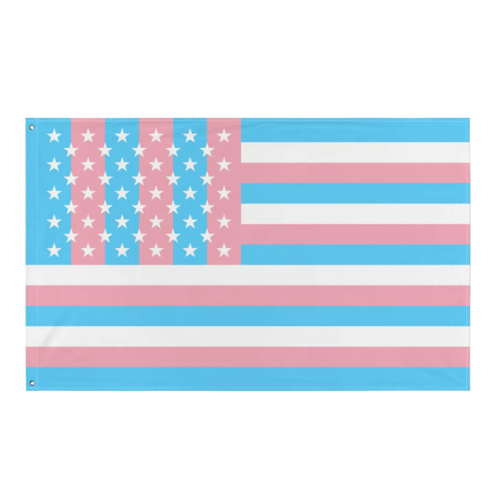 USA Trans Pride Flag product image (1)