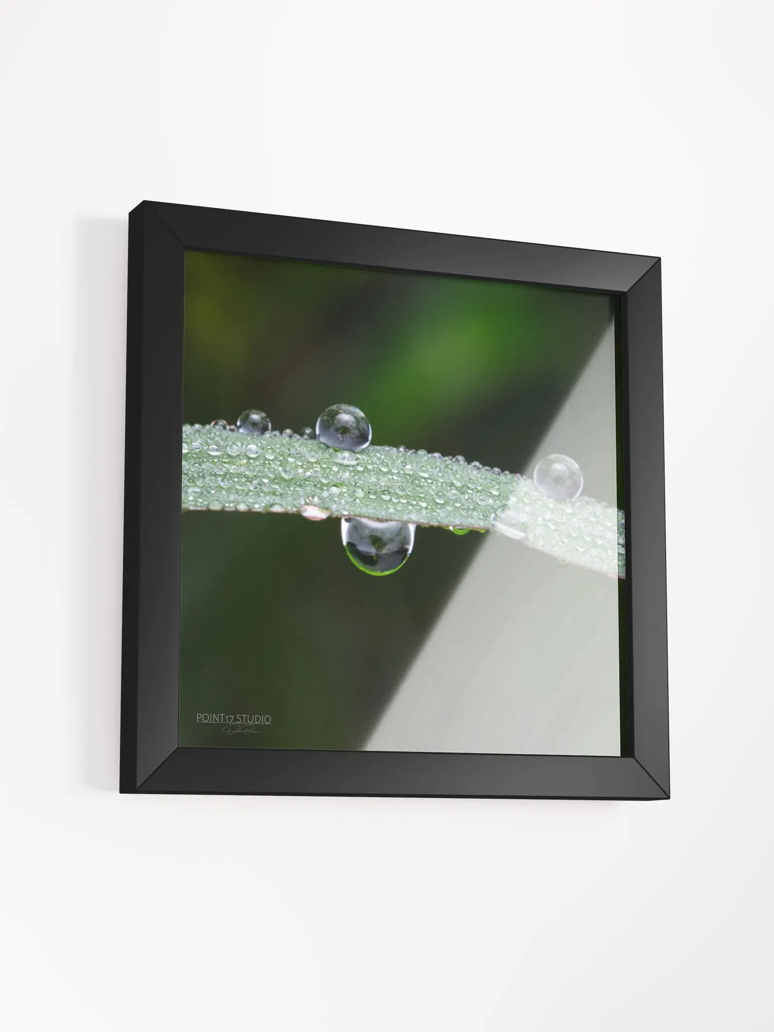 Dew Gems #7 - Framed Print product image (3)