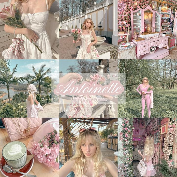 Antoinette Preset product image (1)