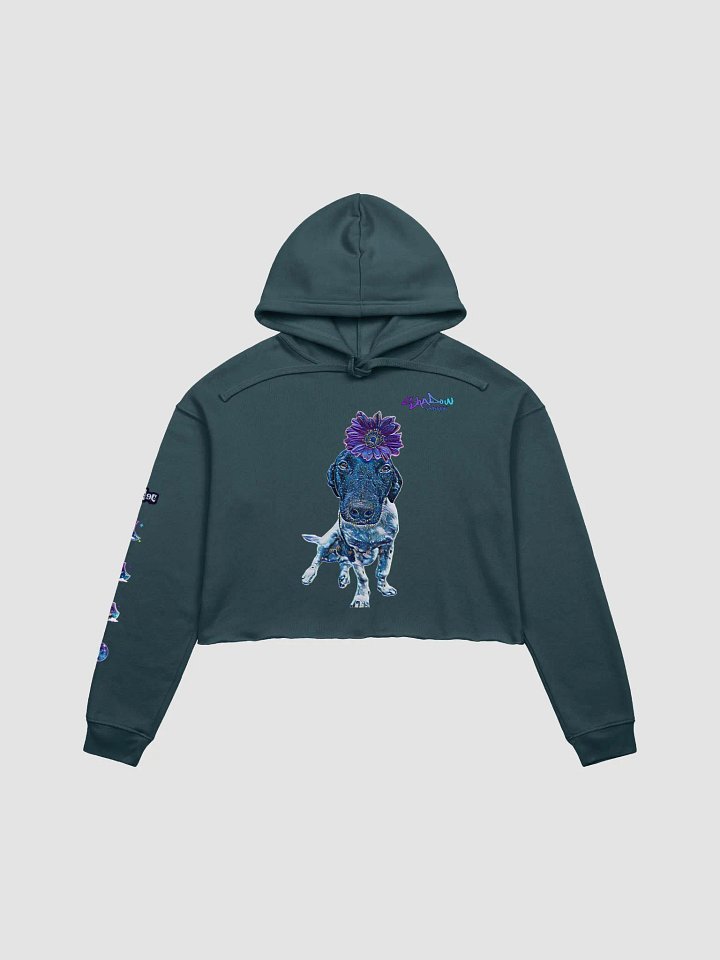 Cropped Galaxy Alfie Hoodie product image (2)
