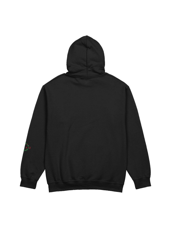 Classic Hoodie product image (2)