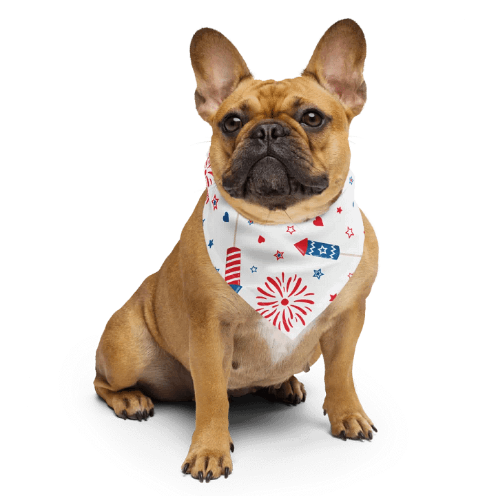 Fireworks Bandana product image (1)