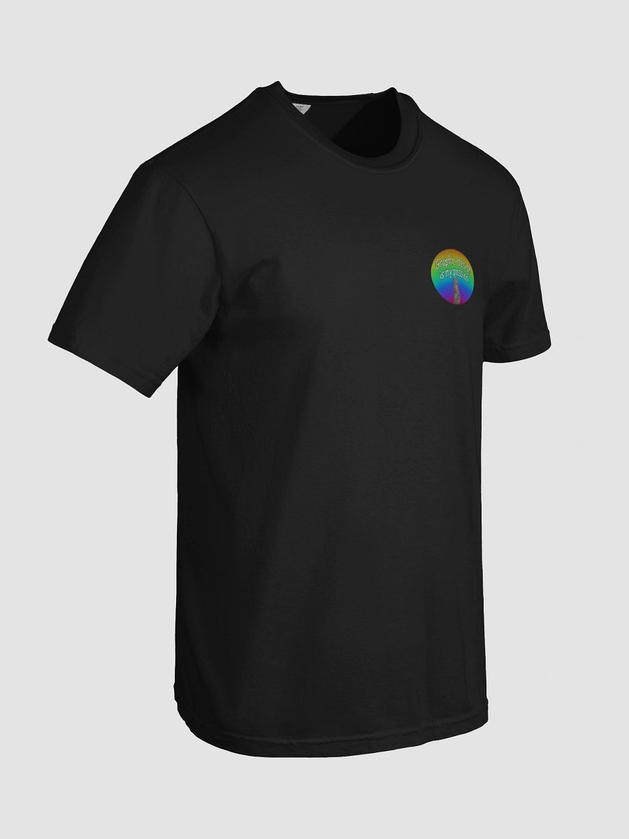 Graphic Design Is My Passion T-Shirt product image (8)