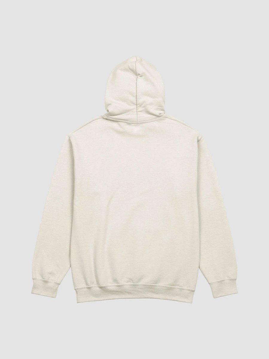 Winter Time Cat Lover Hoodie product image (17)