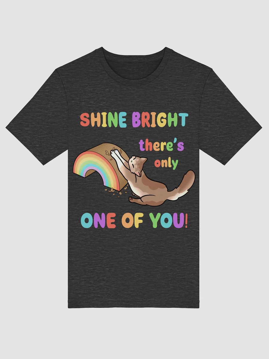 Shine Bright Pride Shirt product image (52)
