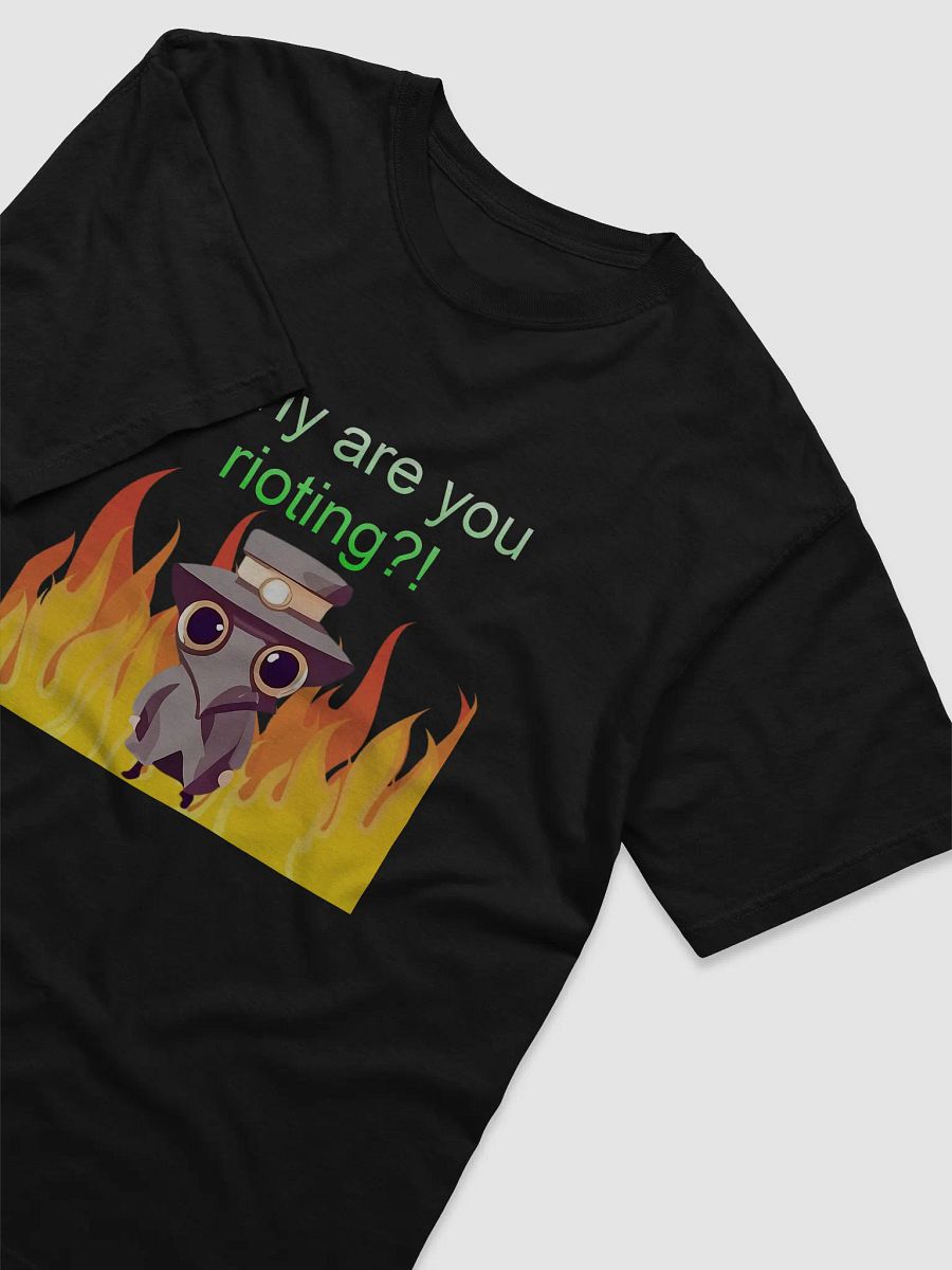 Why are you rioting product image (3)