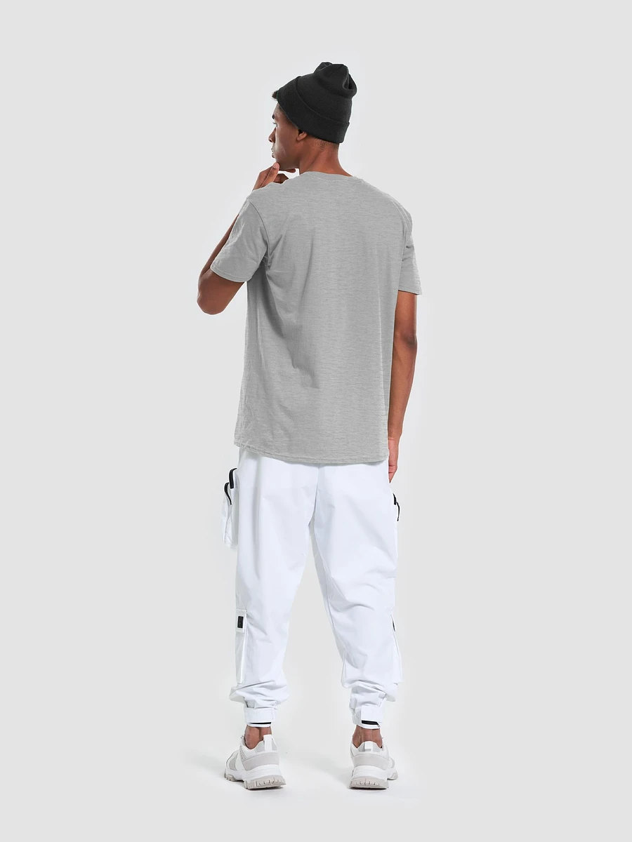 Valhalla Calling Unisex Softstyle T-Shirt Grey or White product image (12)