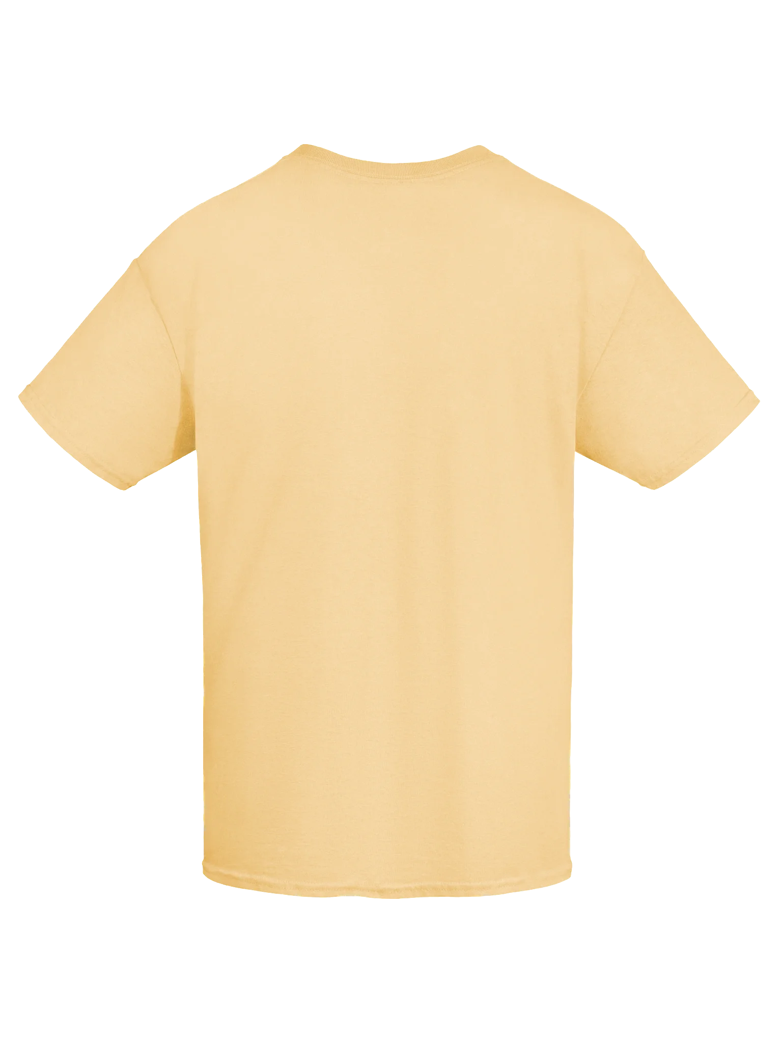 A-List Hollywood Actor Boxy Fit Unisex T-Shirt product image (45)