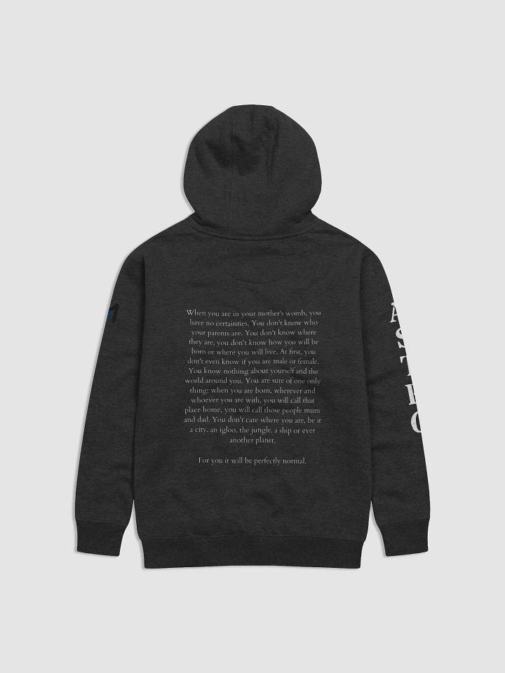 AD MARTEM 12 Born on Mars Hoodie product image (2)