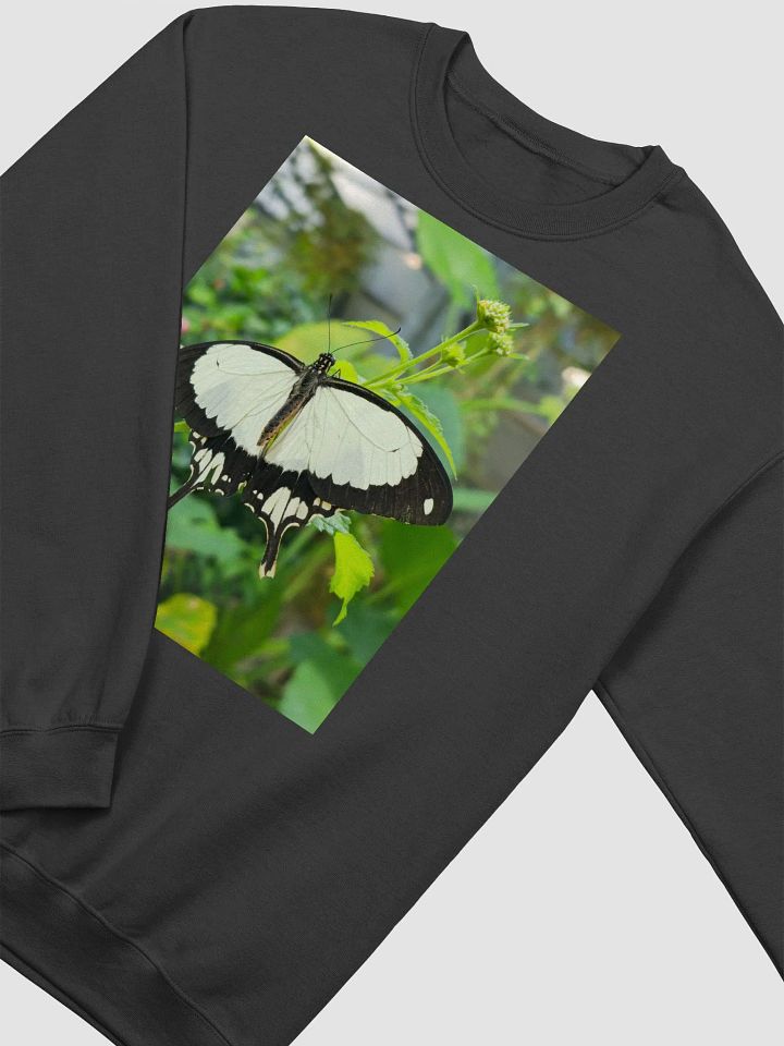 Mocker Swallowtail Tropical Butterfly Unisex Jumper product image (1)