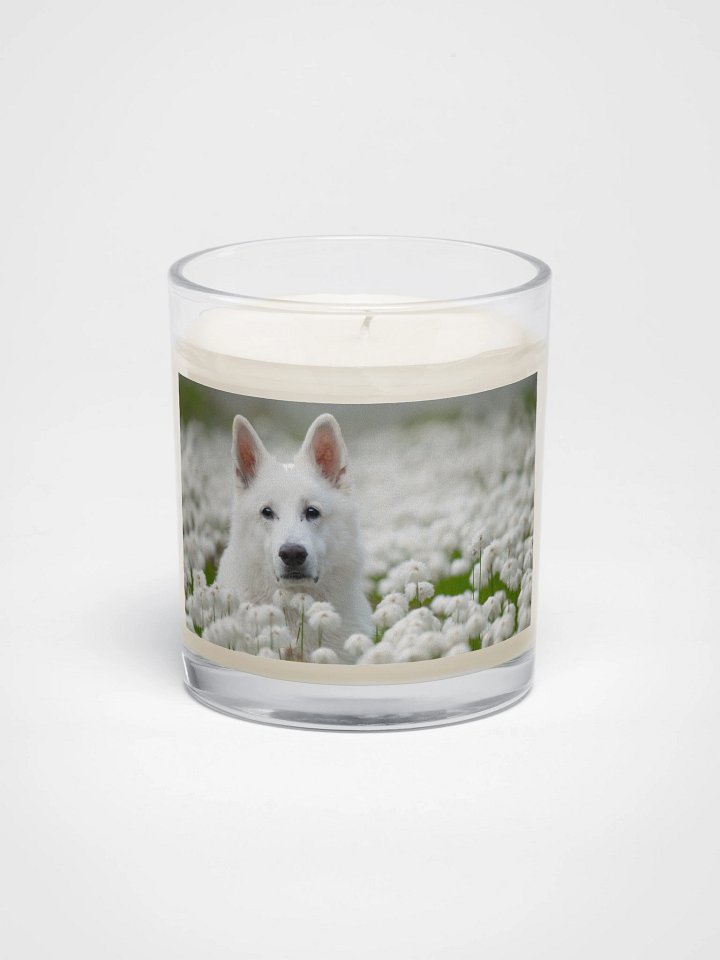 Rasta candle product image (1)