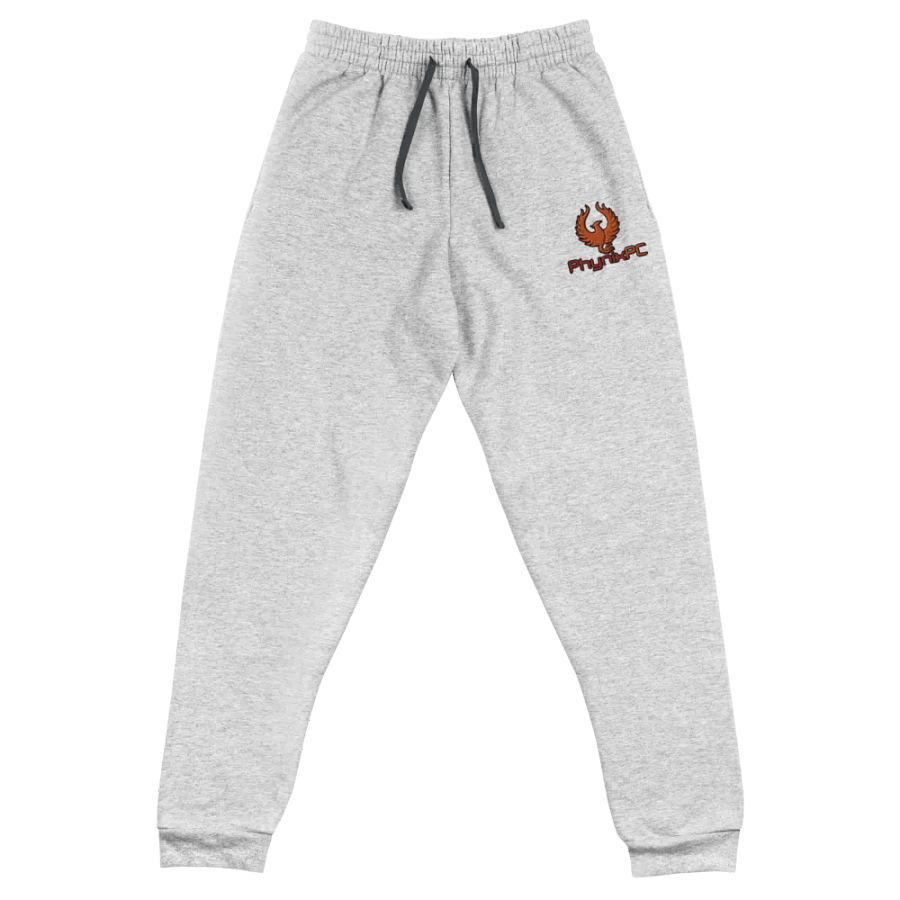 PhynixPC Embroidered Joggers product image (1)