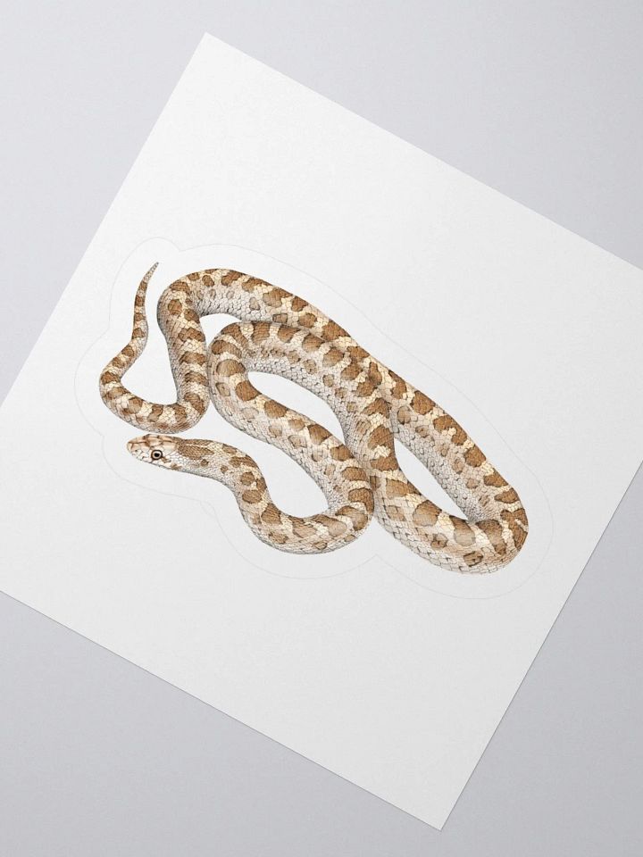 Die-Cut Sticker – Glossy Snake product image (5)