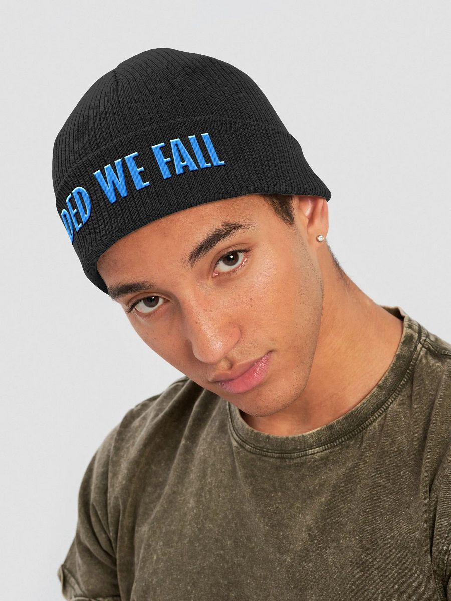 Divided We Fall - Blue - Beechfield Organic Ribbed Beanie product image (4)