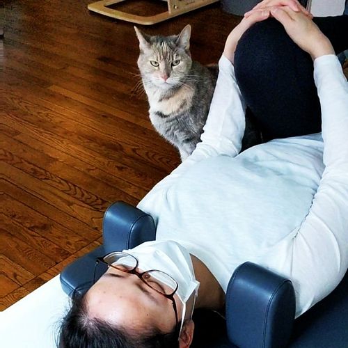 String 😺 is always zen 🧘

#pilates #pilateswithpets #petlates #catlates #catpilates #pilatescat #pilatesstudio #pilateswithcats
