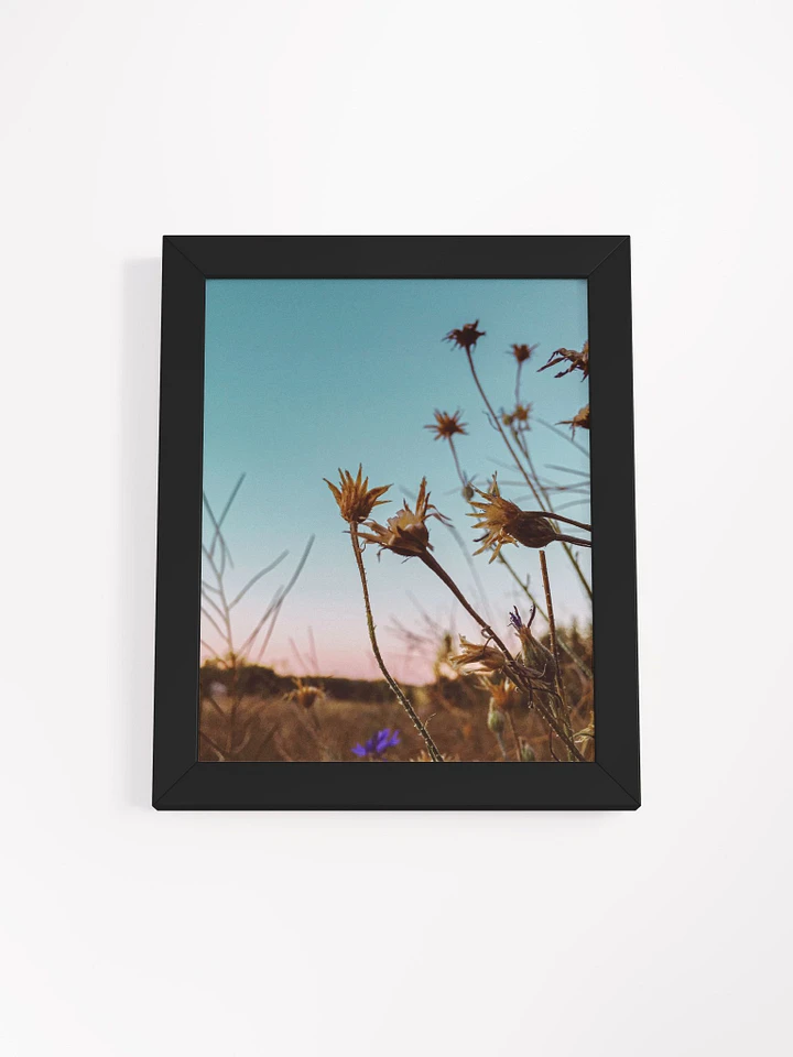 Wildflowers at Sunrise product image (1)