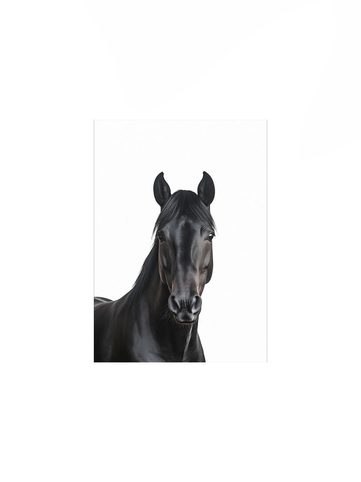 Farm Animal Black Horse Wall Art product image (5)