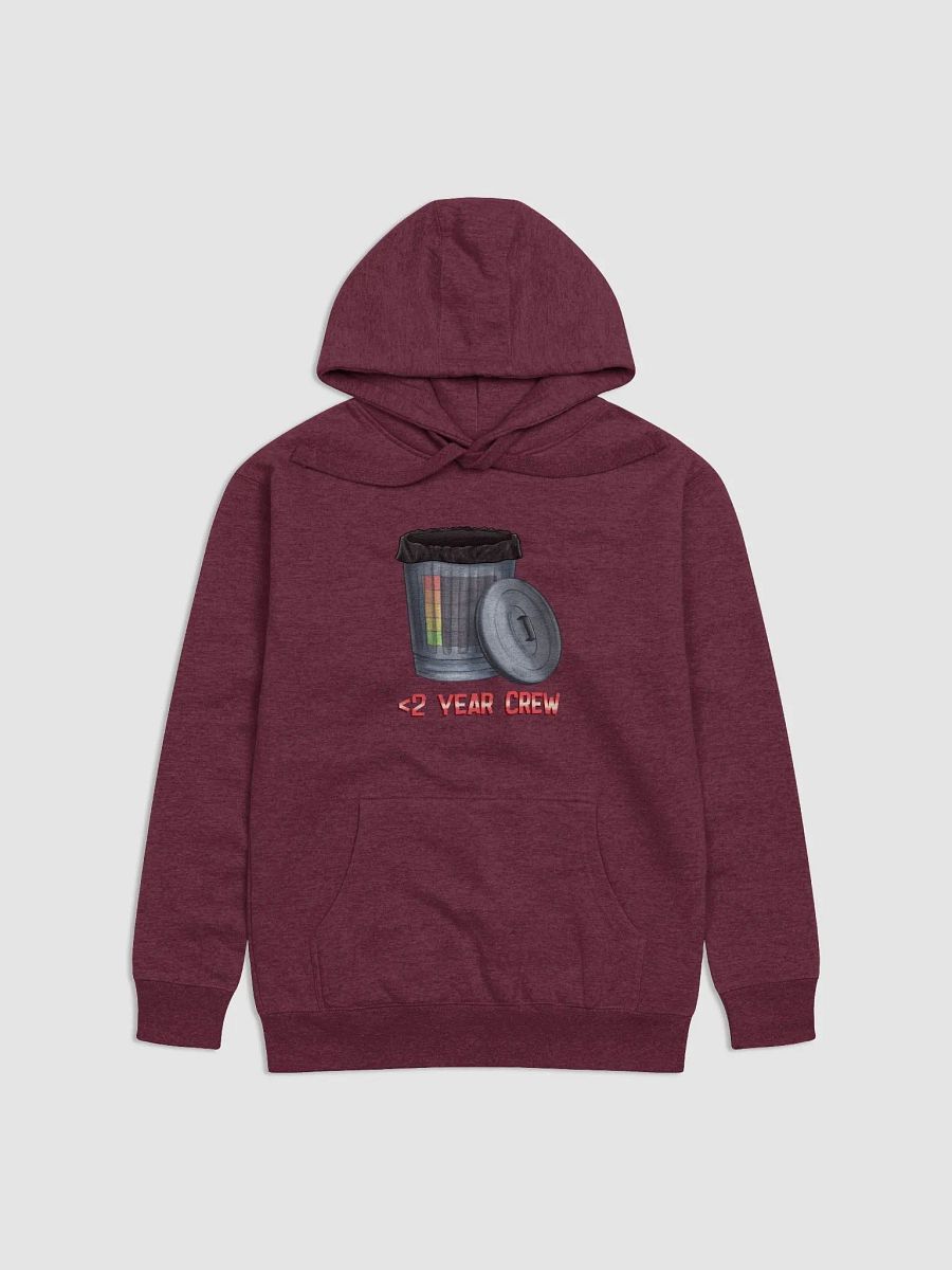 Less Than 2 Year Bin 'Em Hoodie Premium product image (3)