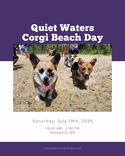 Let’s have a beach day! Join us for a corgi beach day at Quiet Waters Dog beach in Annapolis, MD on Saturday, July 19th start...