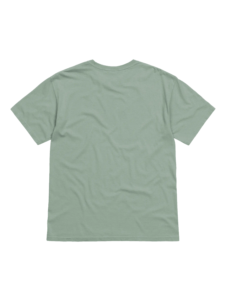 Magna_Tism Sombrero Abomination T-Shirt product image (18)