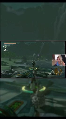 This is how you play Tears of the Kingdom, right? 

#twitch #streamer #tearsofthekingdom #totk #zelda #funny #gamer #fail