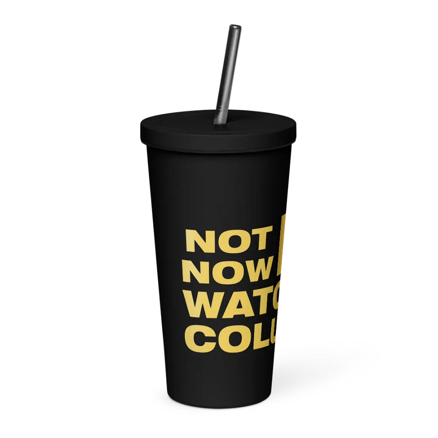 Not Now! Stainless Steel Tumbler product image (4)