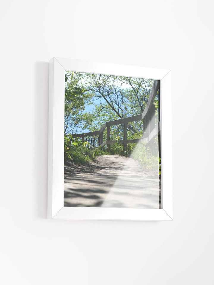 Wooden Nature Trail High Quality Matte Poster product image (2)