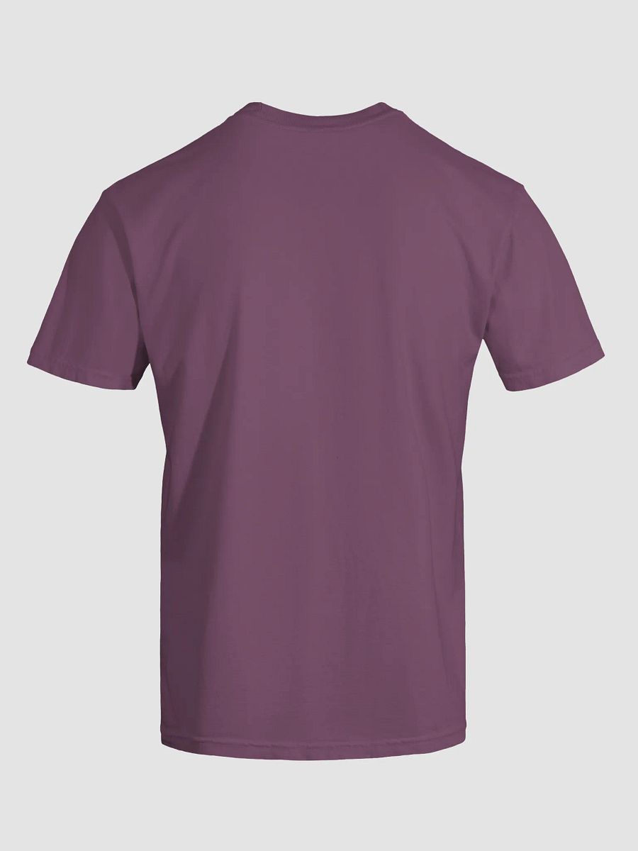 Sponsored by Jesus T-Shirt product image (35)