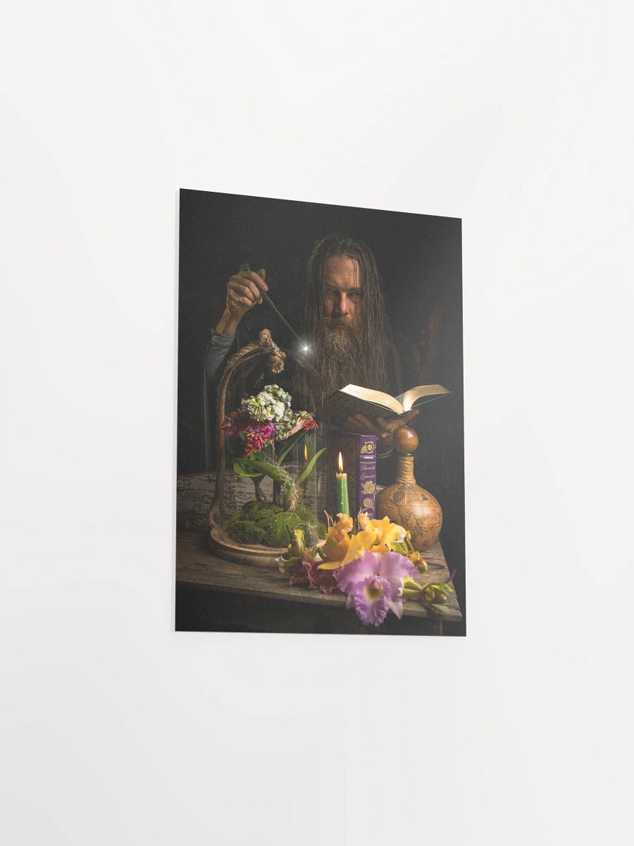 Merlin product image (3)