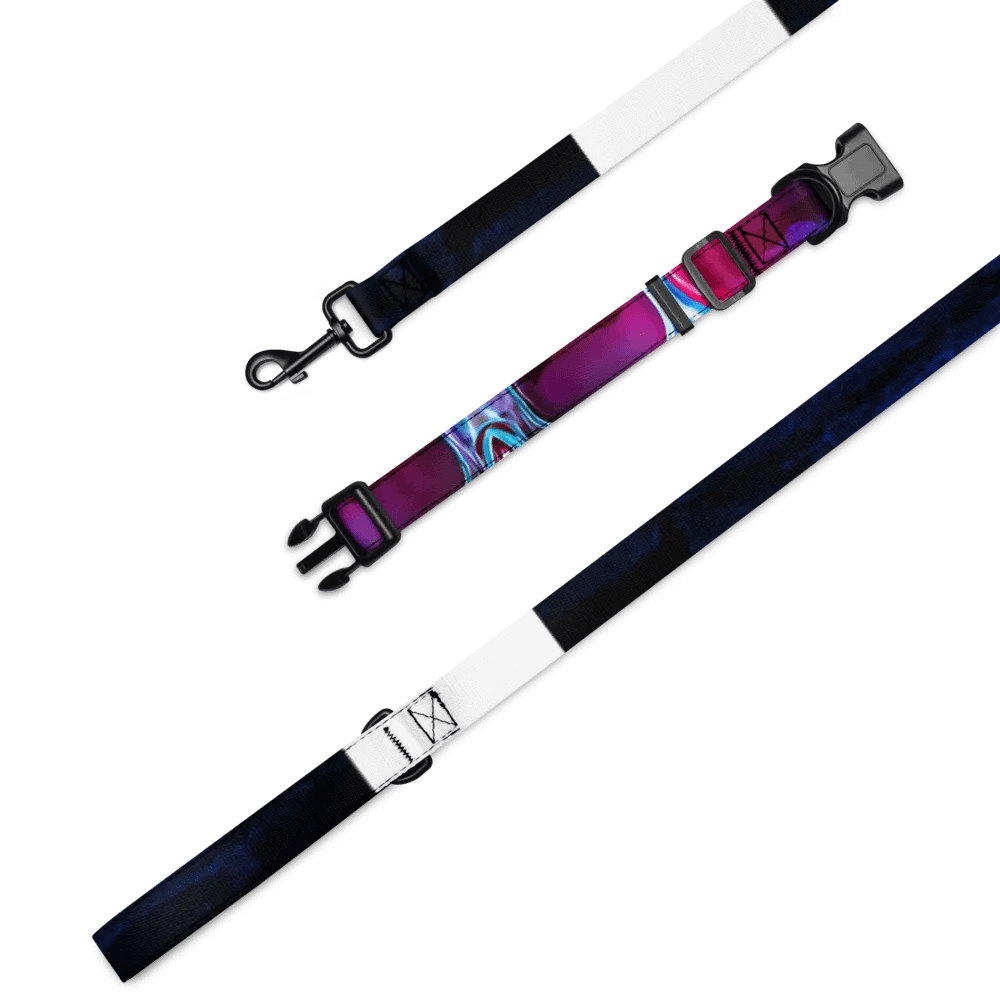 Neon Dreams Pet Collar & Leash Set product image (1)