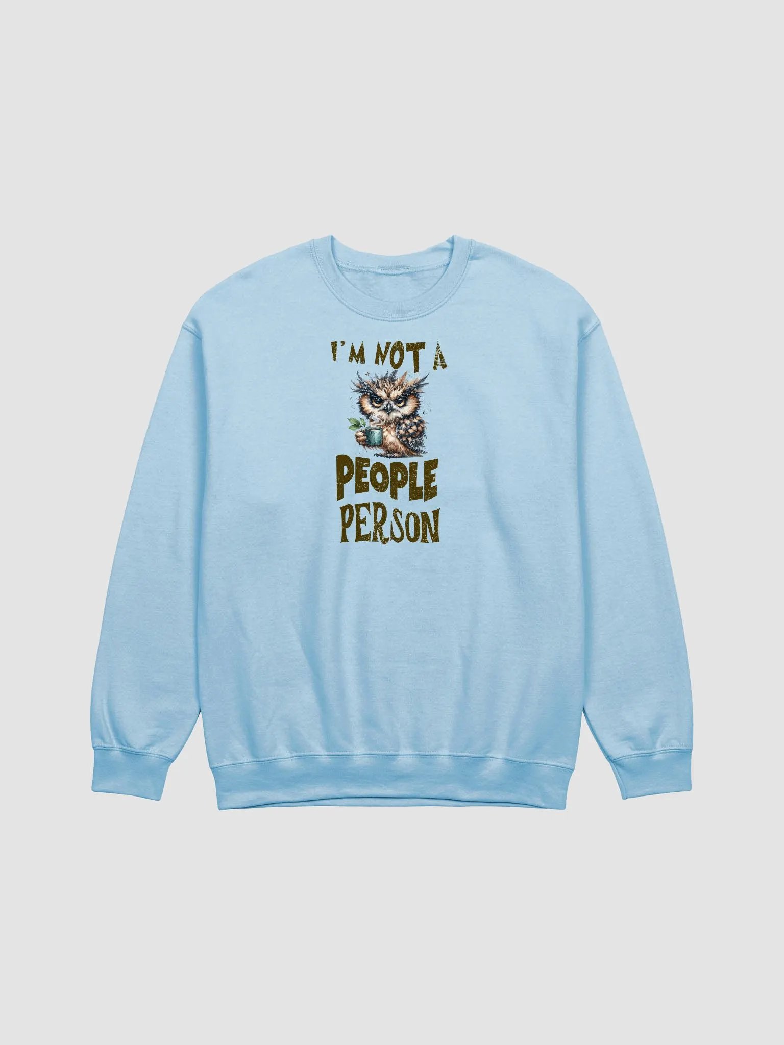 Whimsical Owl Not a People Person Sweatshirt product image (3)