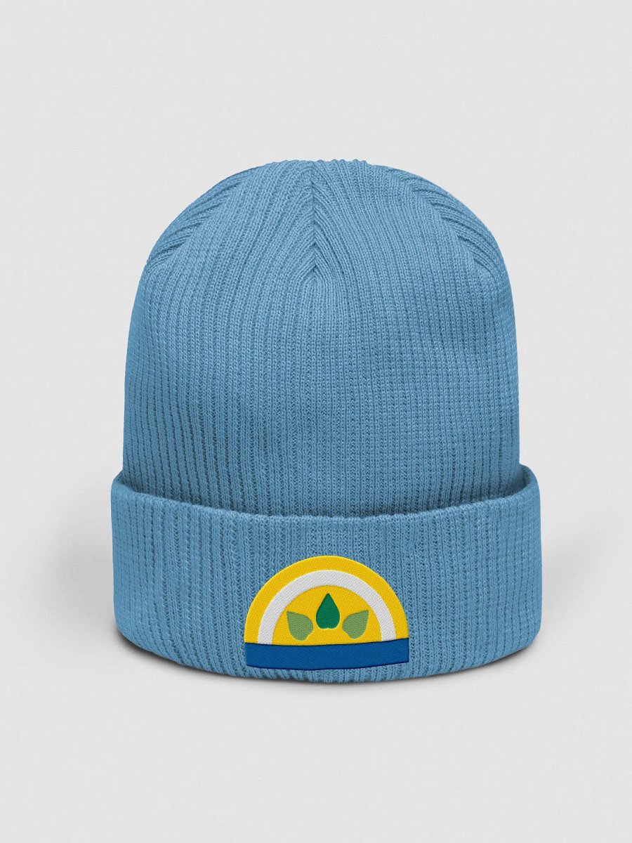 Organic cotton beanie product image (1)